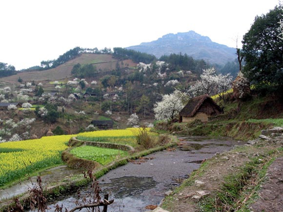 Several day's walk from the nearest city, this mountain village greeted my eyes with the early color of Spring