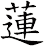 蓮