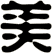 美