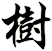 樹