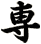 専