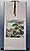 The Green of the Great Wall Scroll