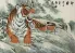 Chinese Tiger Taking a Rest