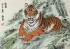 Mighty Chinese Tiger Painting