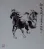 Chinese Horse Portrait