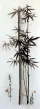 Charcoal Bamboo Drawing