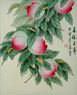 Wishing You a Happy and Long Life - Peaches Painting