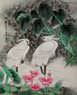 Egrets - Early Morning Dew Painting