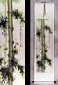 Chinese Green Bamboo Wall Scroll
