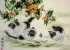 Kittens at Play - Asian Painting