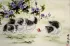 Kittens at Play - Asian Painting
