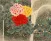 Birds Flowers Waterfall Painting