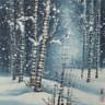 Birch Forest in Winter