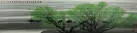 Early Spring - Chinese Landscape Painting
