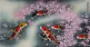 Koi Fish and Plum Blossoms