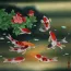 Koi Fish and Flower Painting