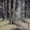 Birch Forest in Winter - Asian Landscape Painting