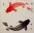Yin Yang Fish Portrait