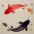 Yin Yang Fish Portrait