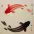 Yin Yang Fish Portrait