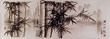 Charcoal Bamboo Drawing