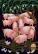 Packed Pig Pen - South China Peasant Art