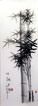 Charcoal Bamboo Drawing