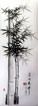 Charcoal Bamboo Drawing