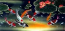 Huge Koi Fish and Lily Painting
