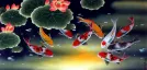 Huge Koi Fish and Lily Painting