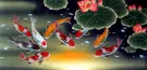 Huge Koi Fish and Lily Painting