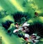 Aqua Dreams - Beautiful Flowers Painting