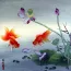 Gold Fish and Lotus Flower - Chinese Painting