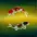 Yin Yang Fish Painting