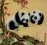 Chinese Panda Painting