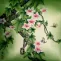 Chinese Bird and Flower Painting