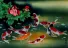 Nine Koi Fish and Flowers Painting