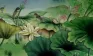 Little Birds and Beautiful Lotus Painting