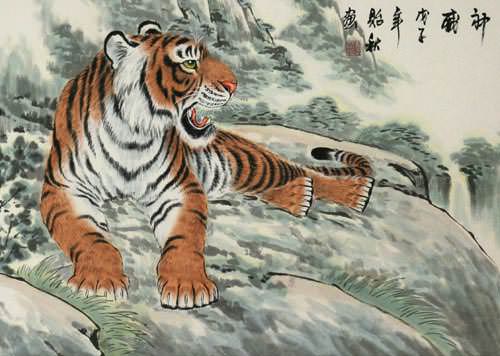 Chinese Tiger Taking a Rest