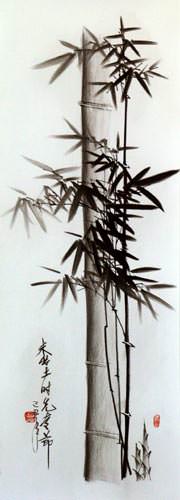 Charcoal Bamboo Drawing