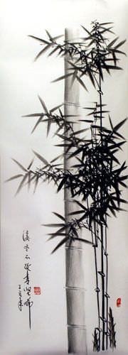 Charcoal Bamboo Portrait