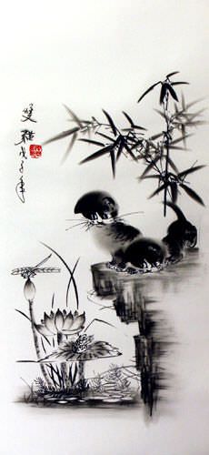 Kittens Fascination Dragonfly & Little Frog