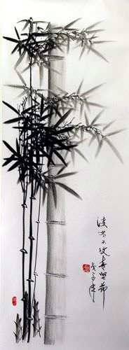 Charcoal Bamboo Drawing