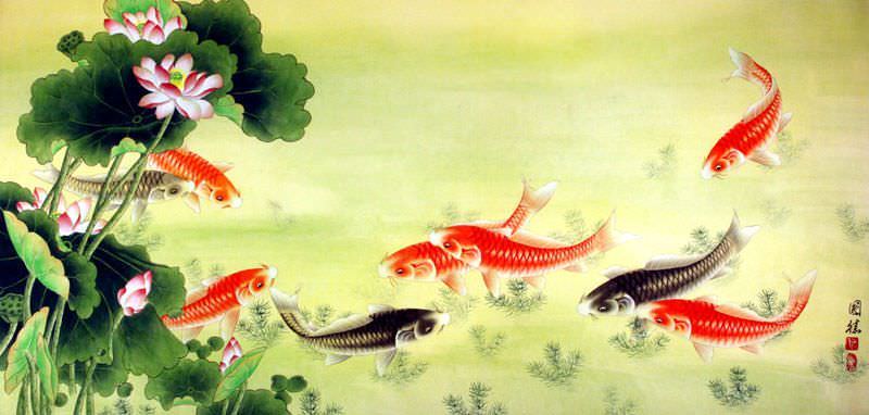 Koi Fish & Lotus Flowers Painting
