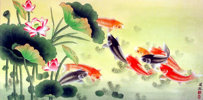 Koi Fish and Lotus Flower - Chinese Painting