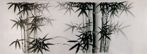 Charcoal Bamboo Drawing