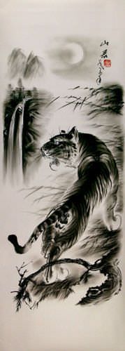 Black & White Tiger Drawing