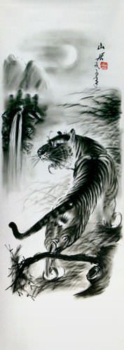 Black & White Tiger Drawing