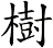 樹 樹