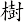 樹